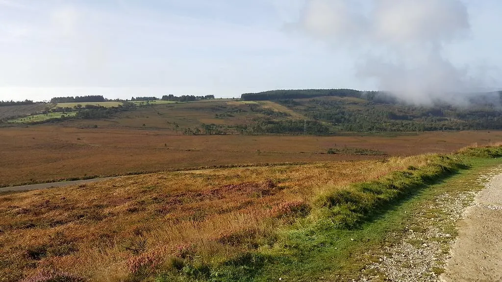 Sur La Route Des Myrtilles Gouézec